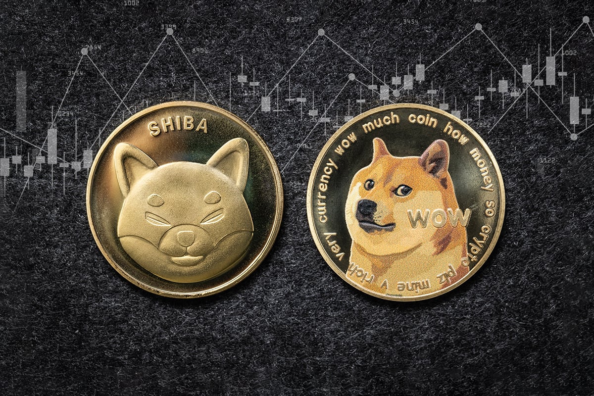 Dogecoin and Shiba Inu